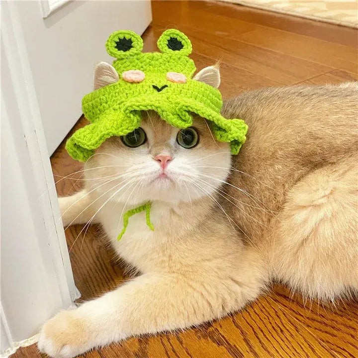 Cute Refined Pet Hat